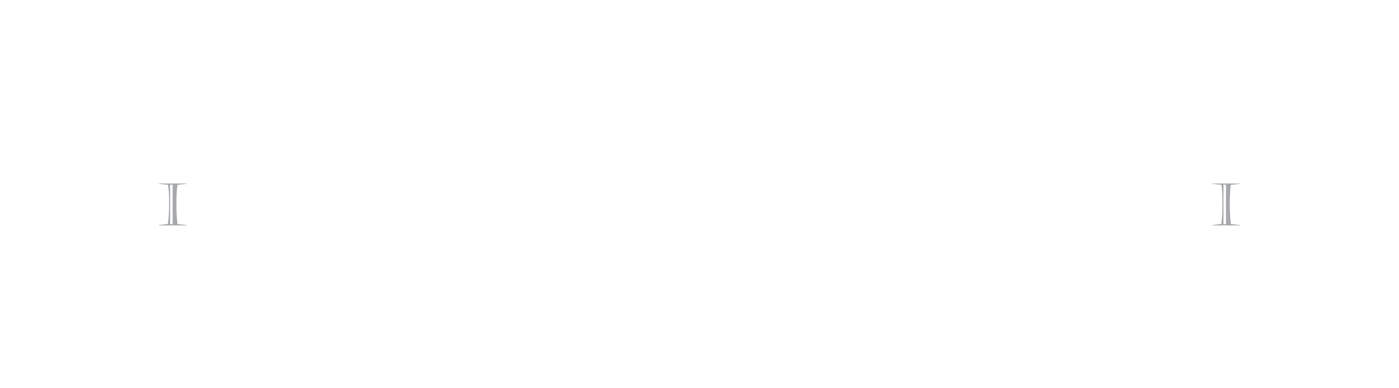 Functional Intelligent Training